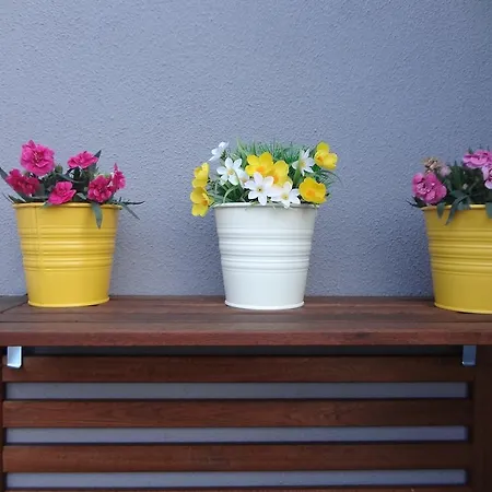 Apartment Cruz Lisbon